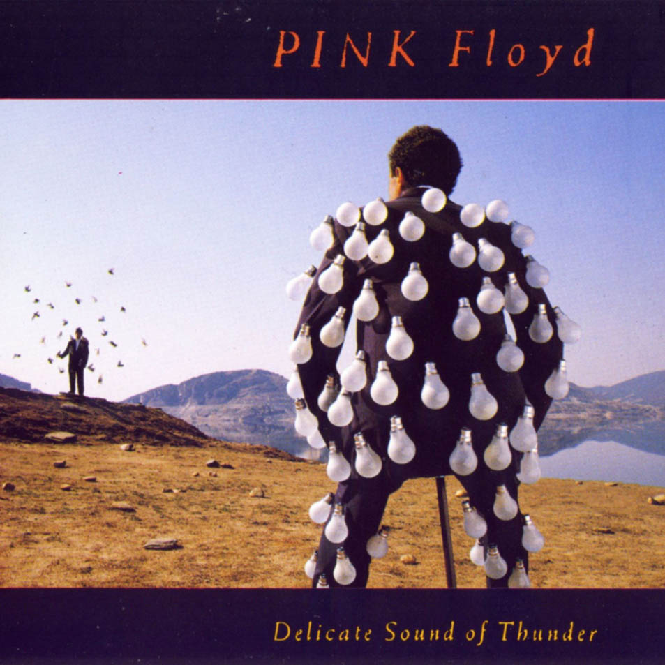 EL MEGAPOST DE LOS VINILOS... - Página 6 Pink_Floyd-Delicate_Sound_Of_Thunder-Frontal