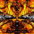 Disco Nothing de Meshuggah