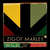 Disco Wild & Free de Ziggy Marley