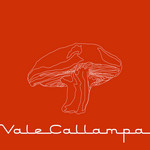 Vale Callampa Cafe Tacvba