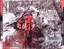 Car�tula trasera The White Stripes White Blood Cells