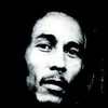 El culebr&oacute;n de los Marley