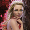 Roban los diarios secretos de Britney Spears