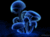 Avatar de Caritox