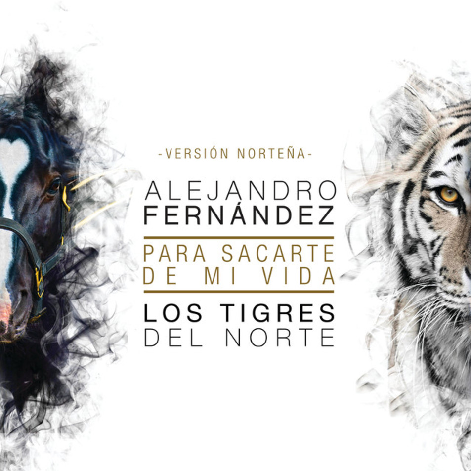 Cartula Frontal de Alejandro Fernandez - Para Sacarte De Mi Vida (Version Nortea) (Cd Single)