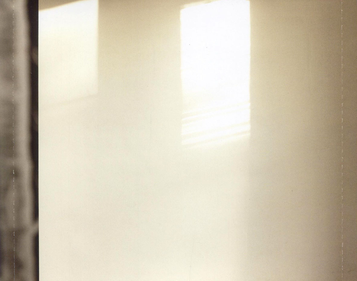 Cartula Interior Trasera de Amy Macdonald - A Curious Thing