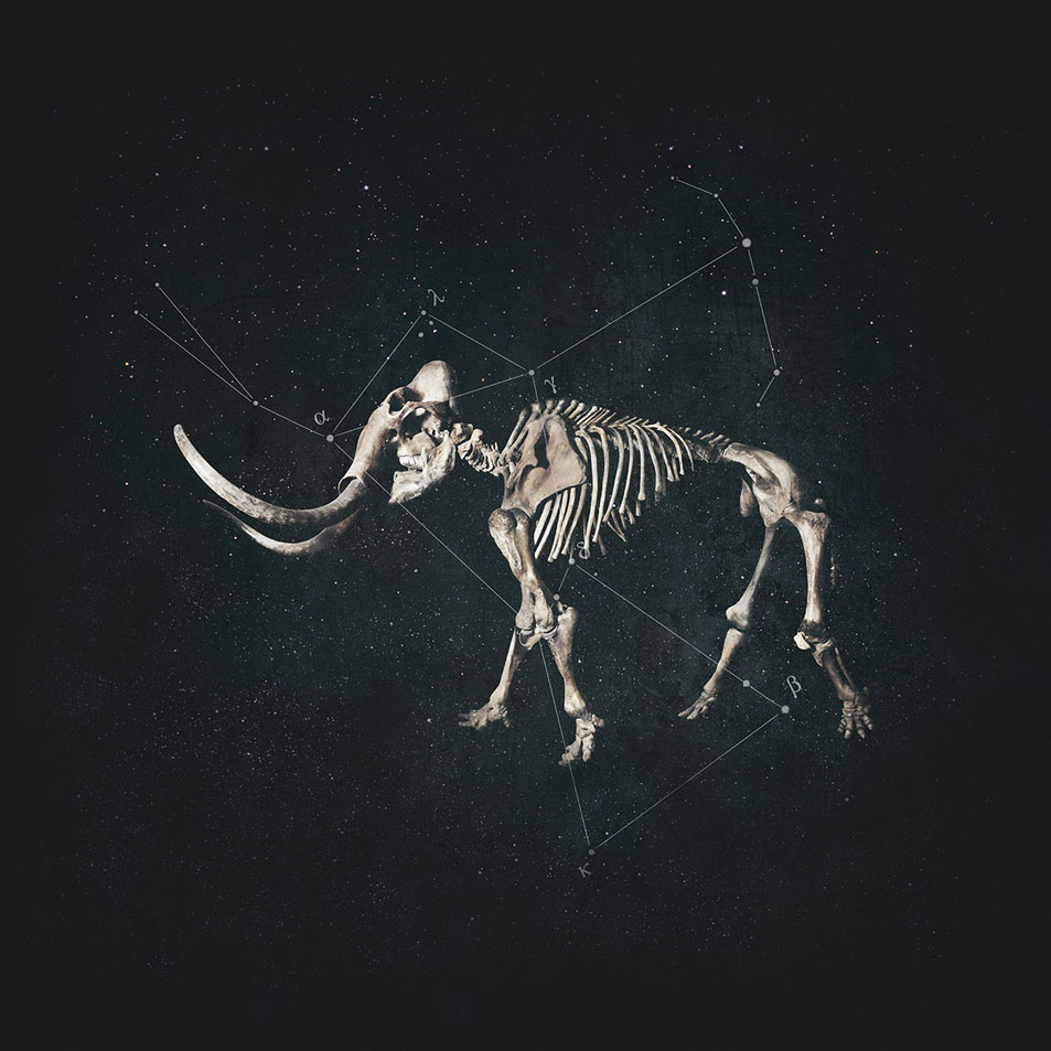 Cartula Frontal de Animic - Hannibal