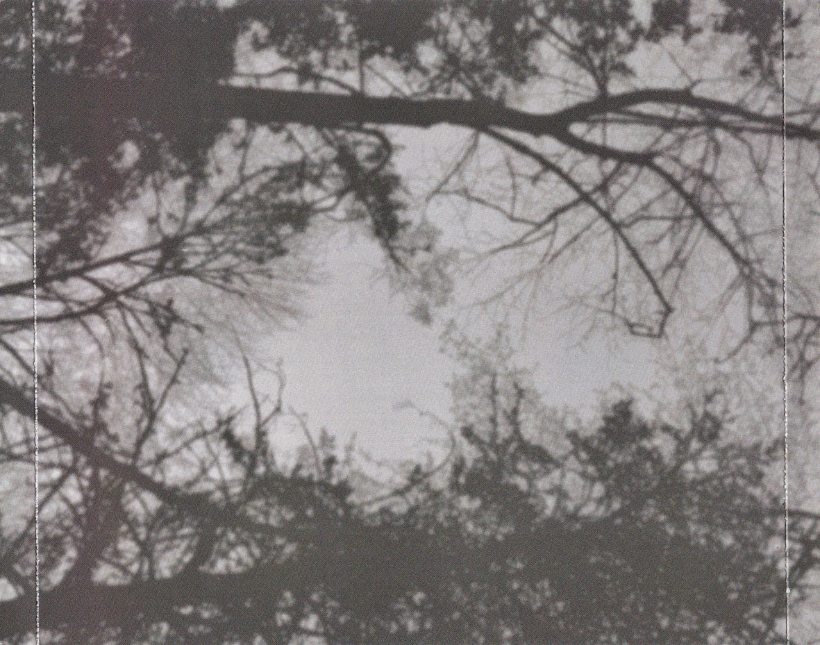 Cartula Interior Trasera de Atten Ash - The Hourglass