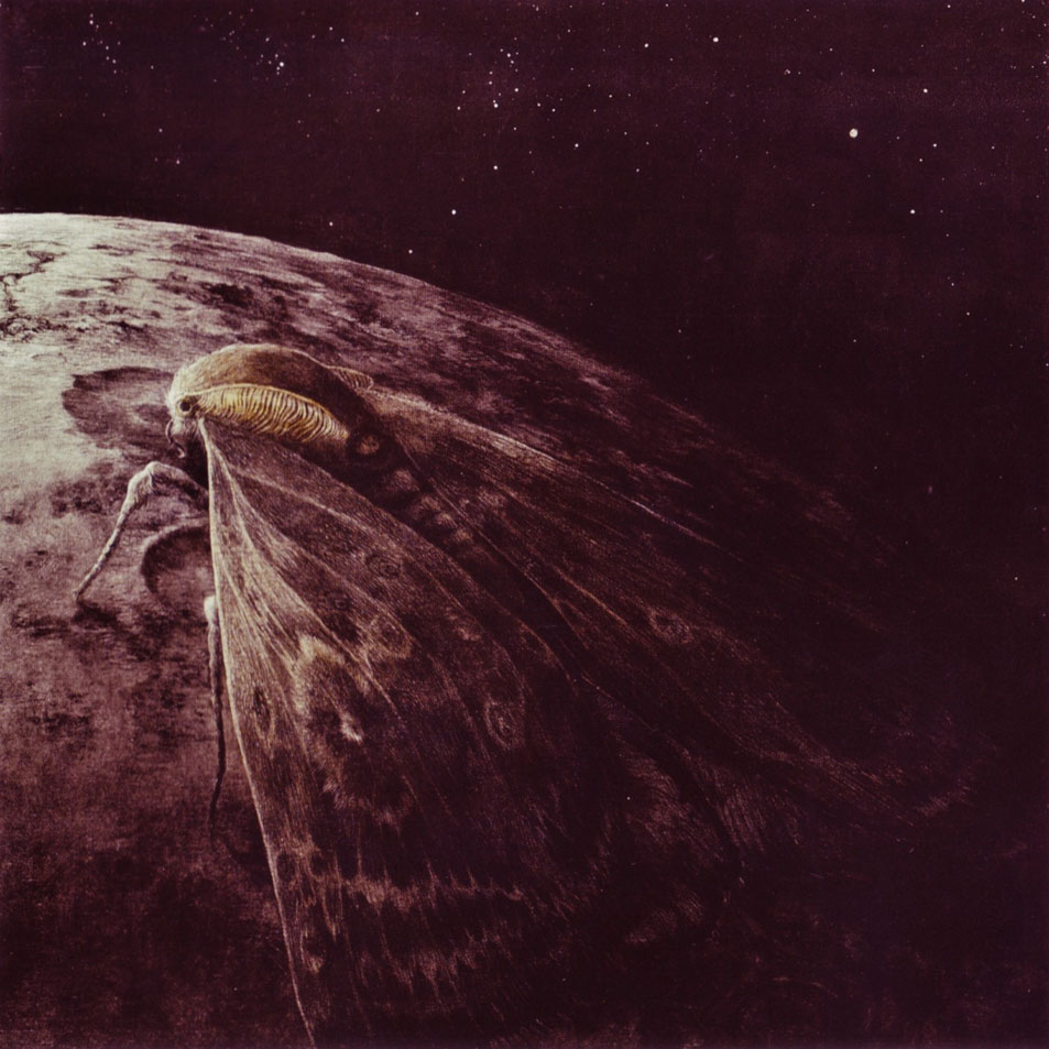 Cartula Frontal de Augrimmer - Moth And The Moon