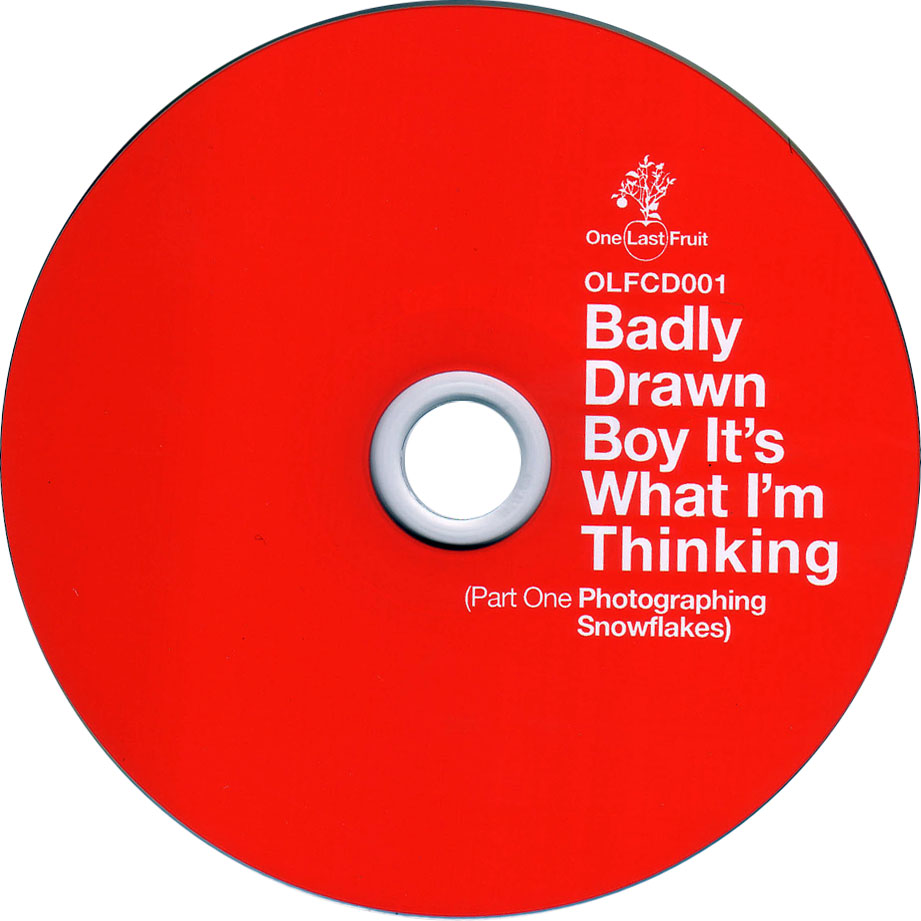 Cartula Cd de Badly Drawn Boy - It's What I'm Thinking, Part One: Photographing Snowflakes
