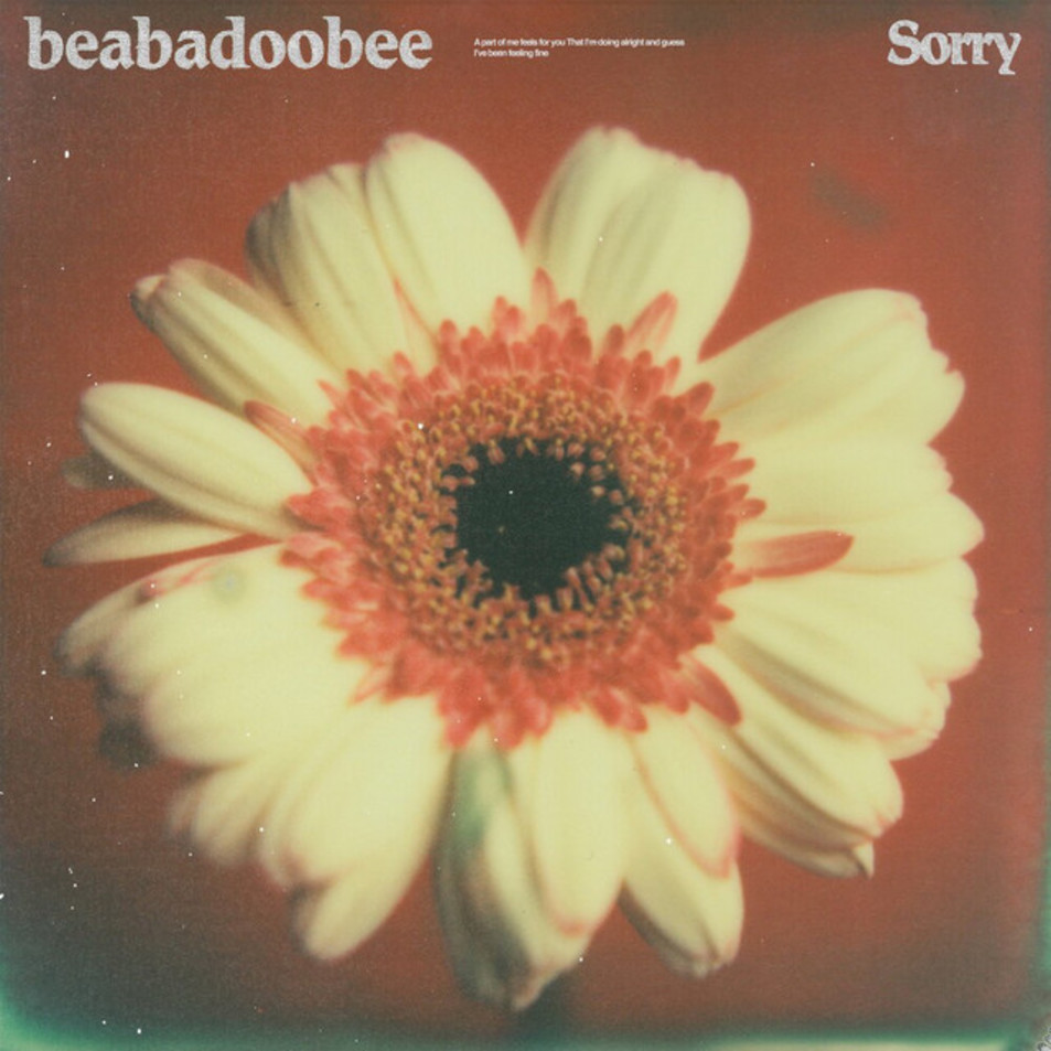 Cartula Frontal de Beabadoobee - Sorry (Cd Single)