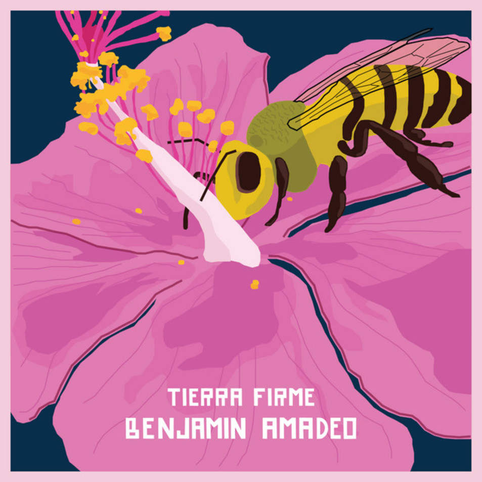 Cartula Frontal de Benjamin Amadeo - Tierra Firme (Cd Single)