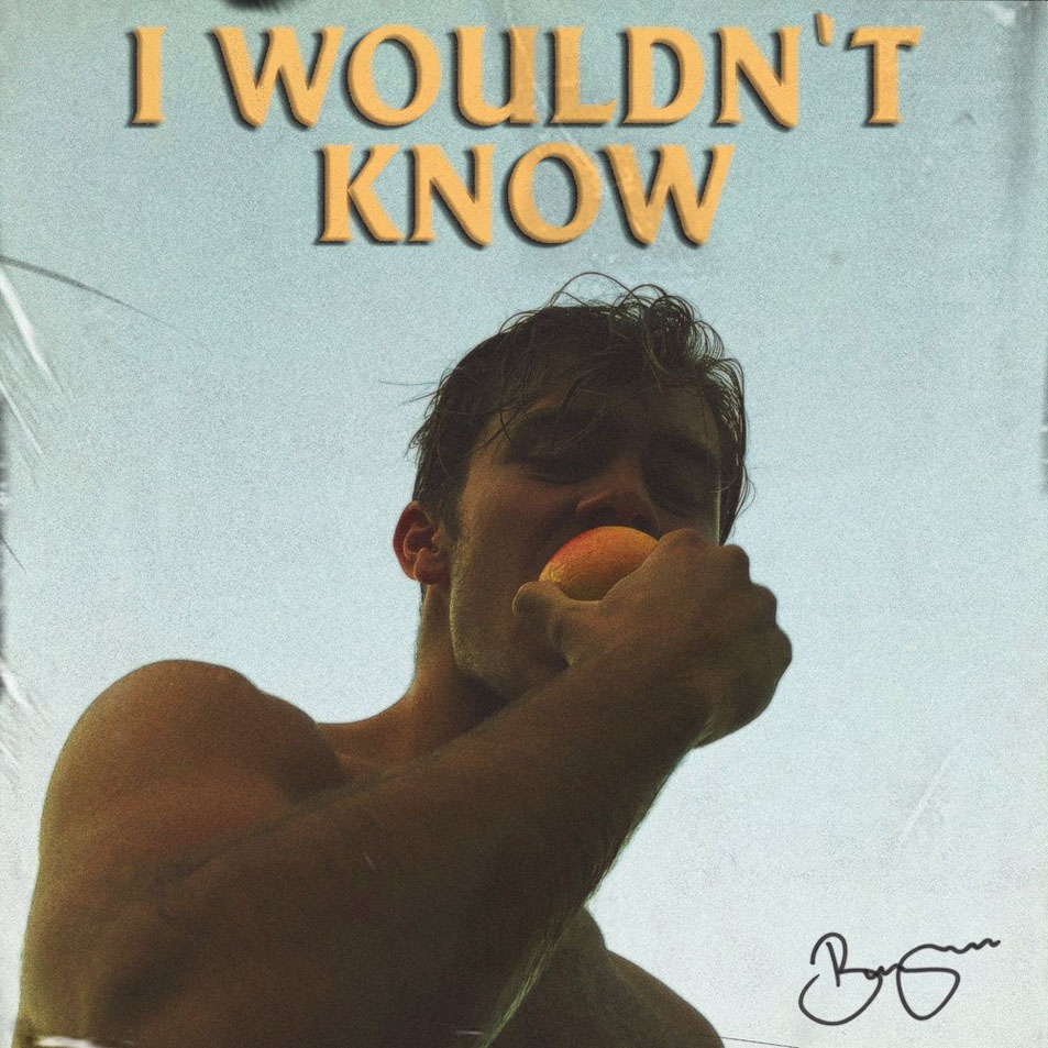 Cartula Frontal de Benjamin Ingrosso - I Wouldn't Know (Cd Single)