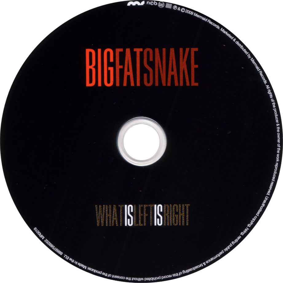 Cartula Cd de Big Fat Snake - What Is Left Is Right
