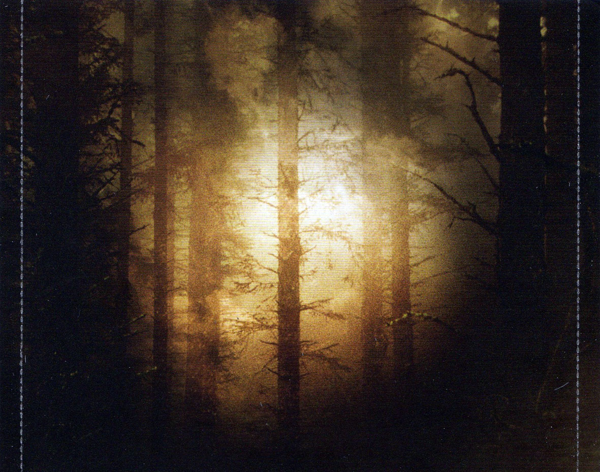 Cartula Interior Trasera de Bso La Saga Crepusculo: Luna Nueva (The Twilight Saga: New Moon)