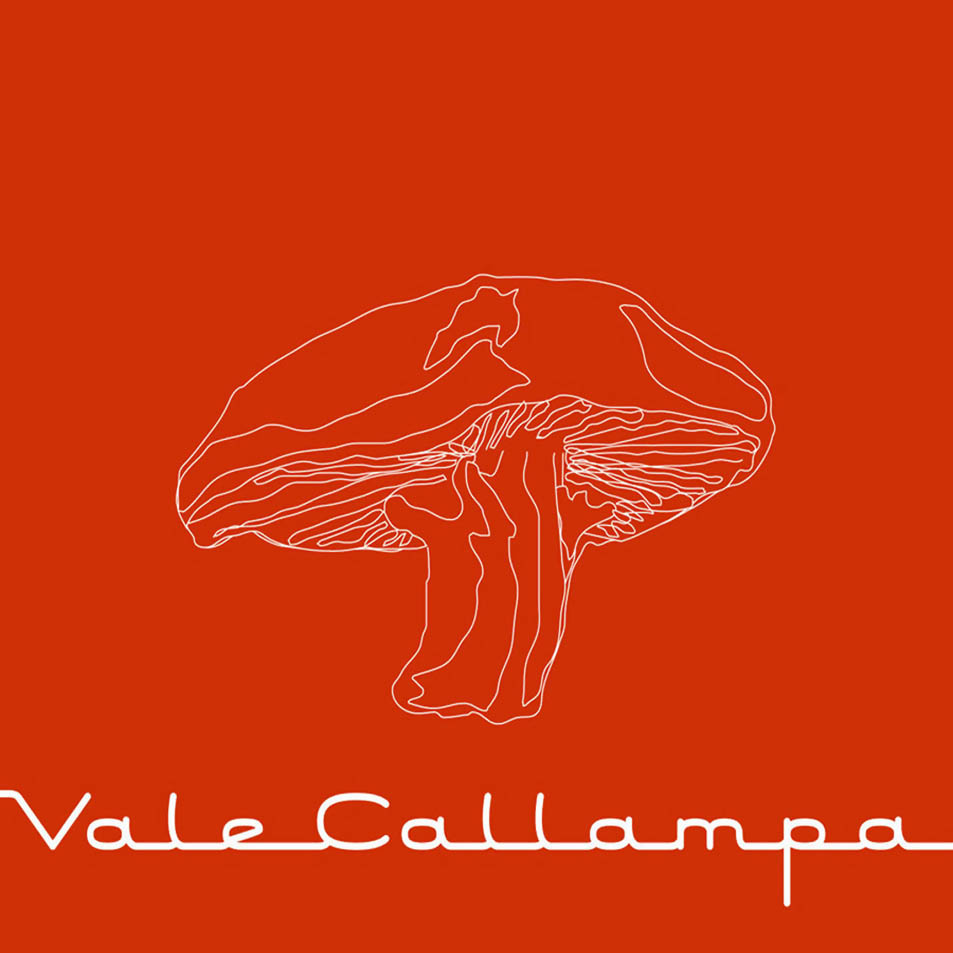Cartula Frontal de Cafe Tacvba - Vale Callampa (Ep)