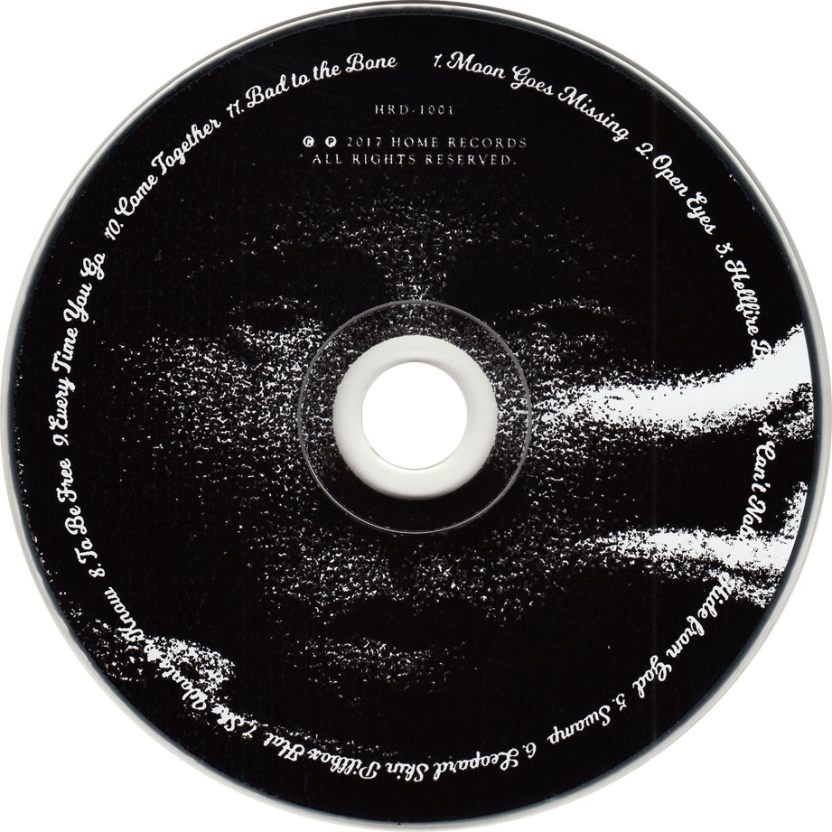 Cartula Cd de Carolyn Wonderland - Moon Goes Missing