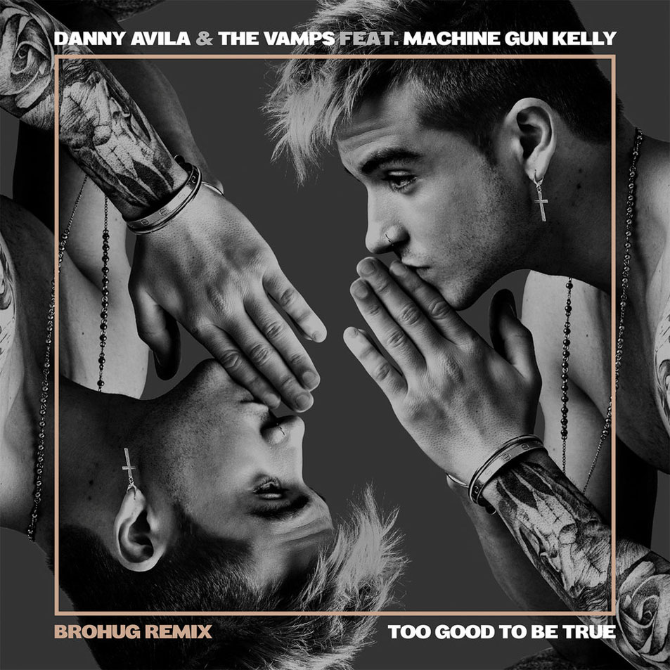 Cartula Frontal de Danny Avila - Too Good To Be True (Featuring The Vamps & Machine Gun Kelly) (Brohug Remix) (Cd Single)
