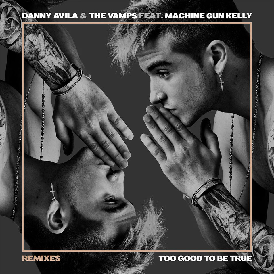 Cartula Frontal de Danny Avila - Too Good To Be True (Featuring The Vamps & Machine Gun Kelly) (Remixes) (Ep)