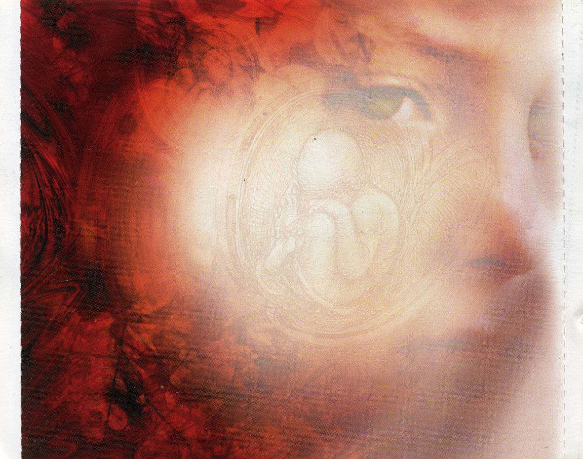 Cartula Interior Trasera de Dante - November Red