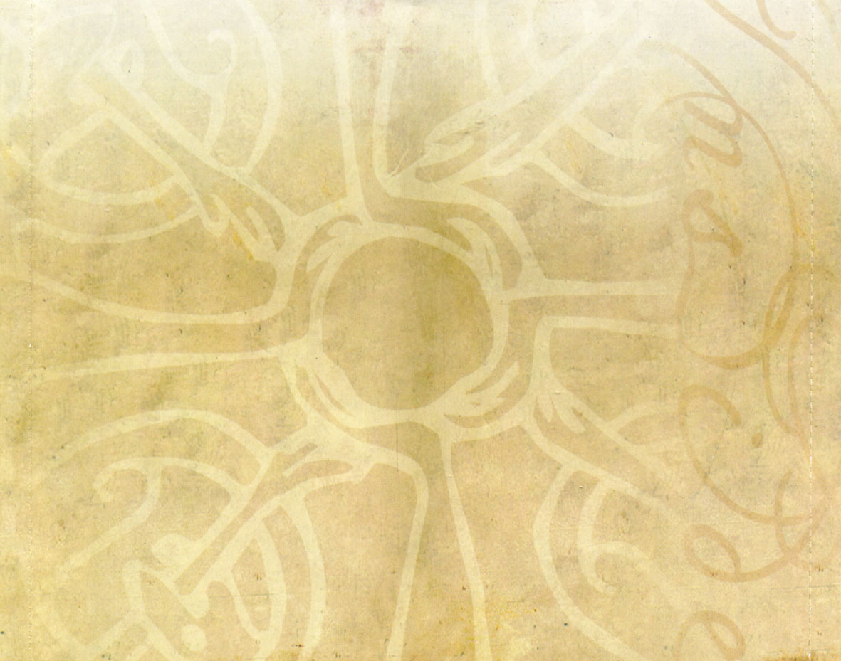 Cartula Interior Trasera de Dark Illusion - Where The Eagles Fly