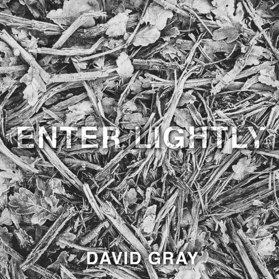 Cartula Frontal de David Gray - Enter Lightly (Cd Single)