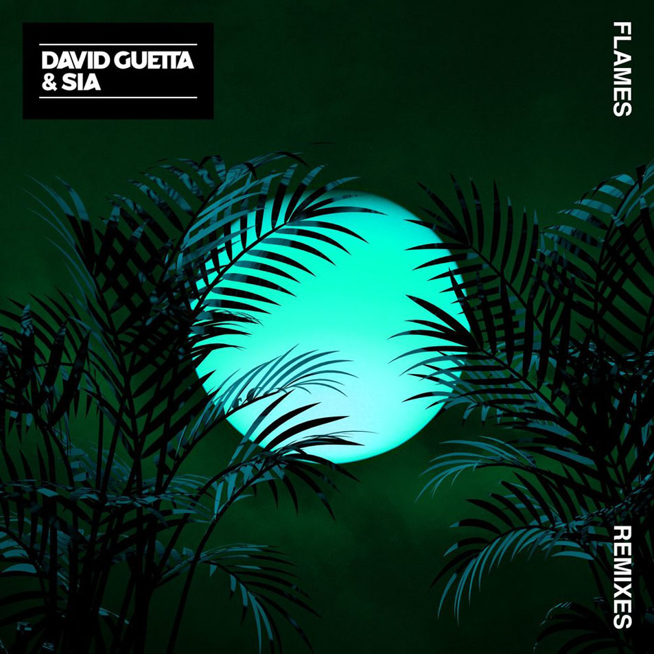Cartula Frontal de David Guetta - Flames (Featuring Sia) (Remixes 2) (Ep)