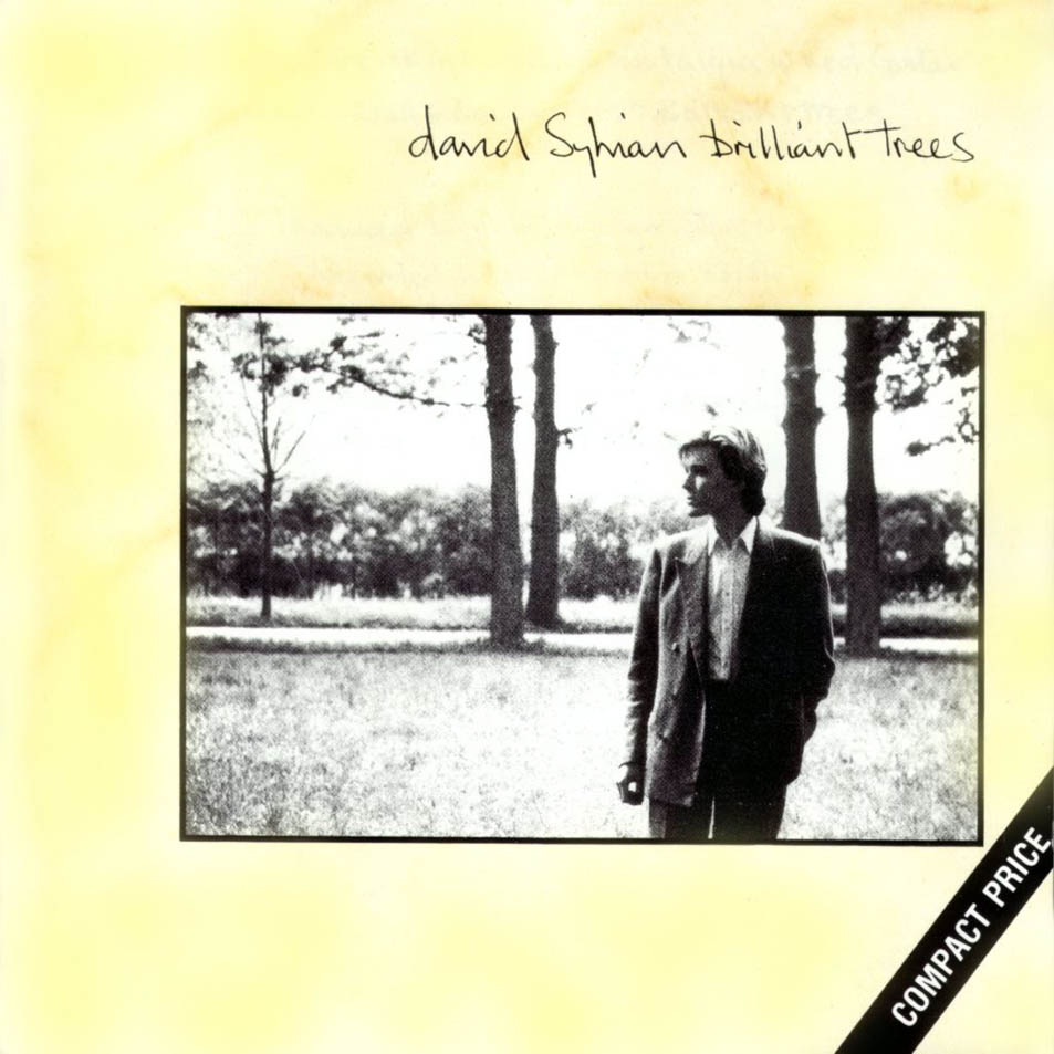 Cartula Frontal de David Sylvian - Brilliant Trees