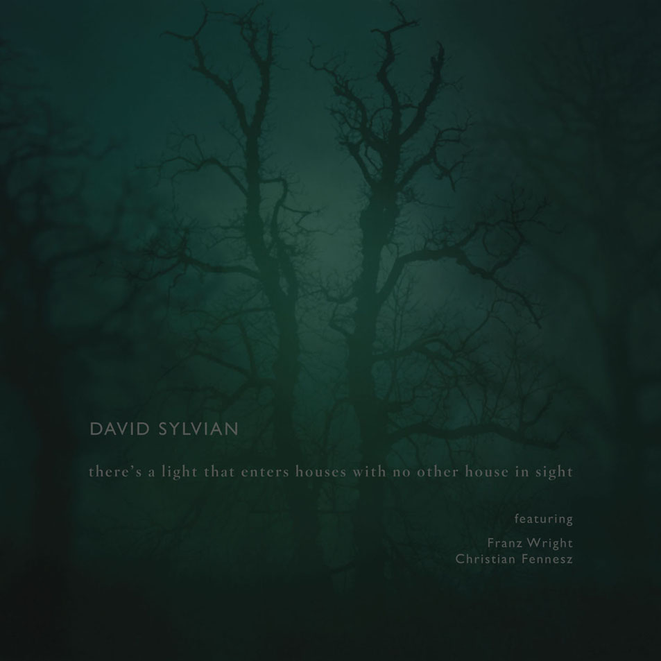 Cartula Frontal de David Sylvian - There's A Light That Enters Houses With No Other House In Sight