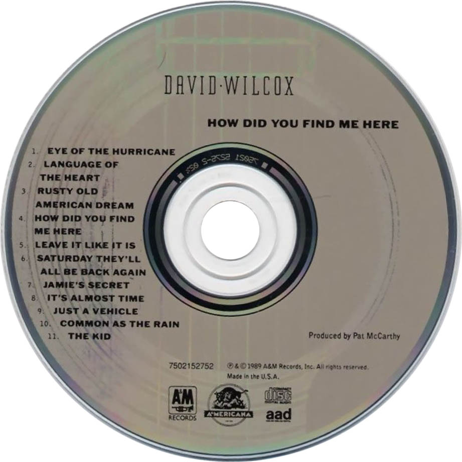 Cartula Cd de David Wilcox - How Did You Find Me Here