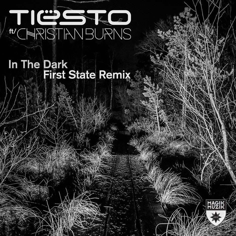 Cartula Frontal de Dj Tisto - In The Dark (Featuring Christian Burns) (First State Remix) (Cd Single)