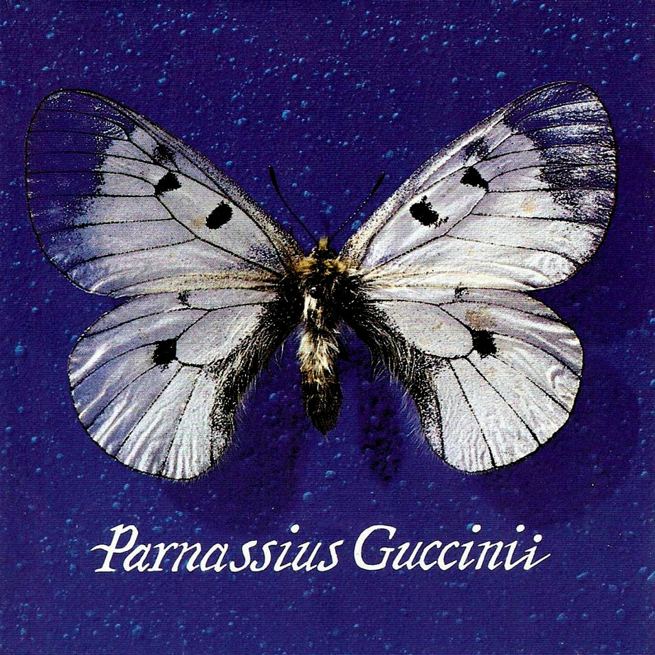 Cartula Frontal de Francesco Guccini - Parnassius Guccinii