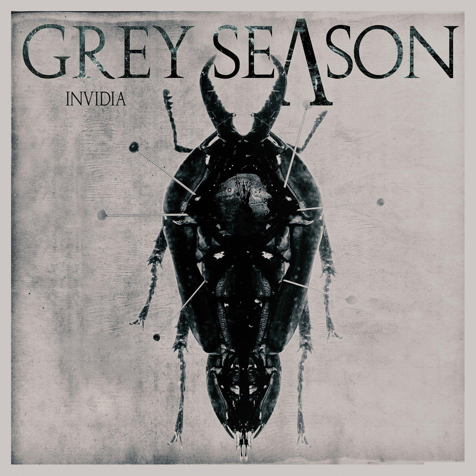 Cartula Frontal de Grey Season - Invidia