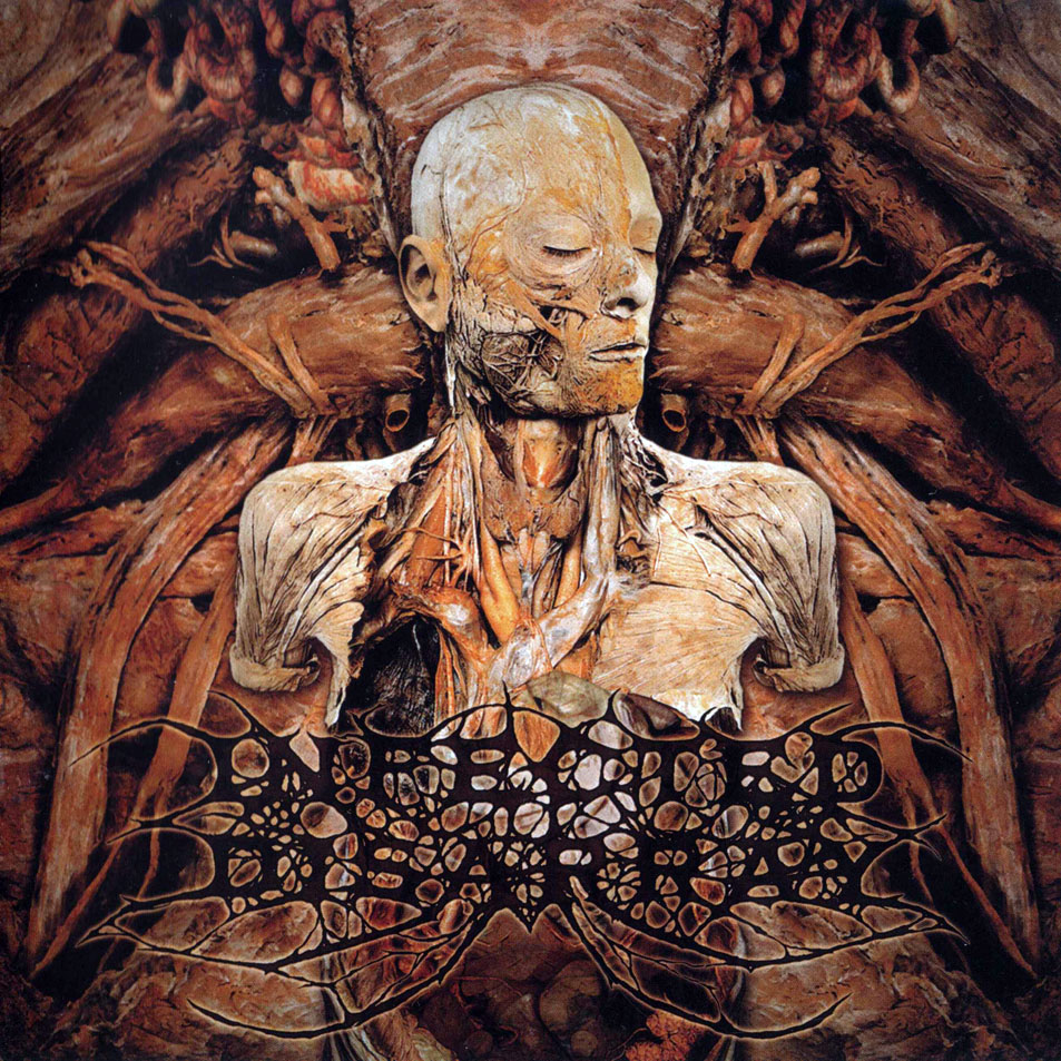 Cartula Frontal de Infected Disarray - Disseminating Obscenity
