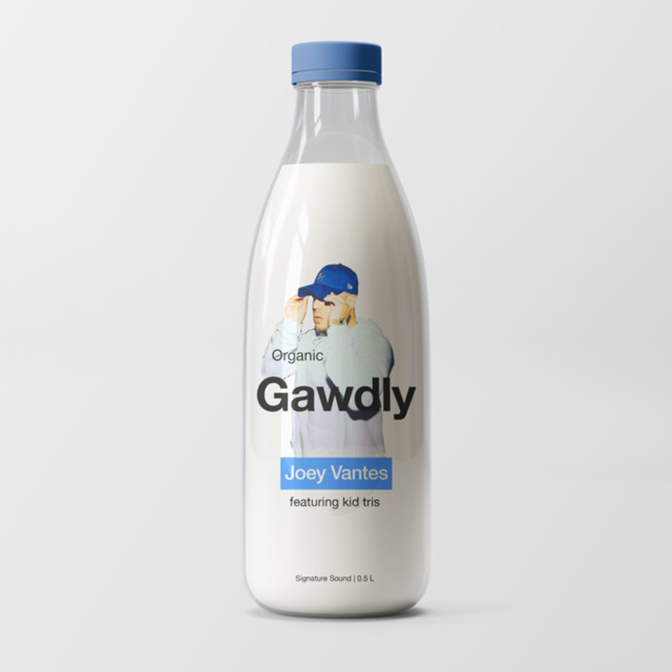 Cartula Frontal de Joey Vantes - Gawdly (Featuring Kid Tris) (Cd Single)