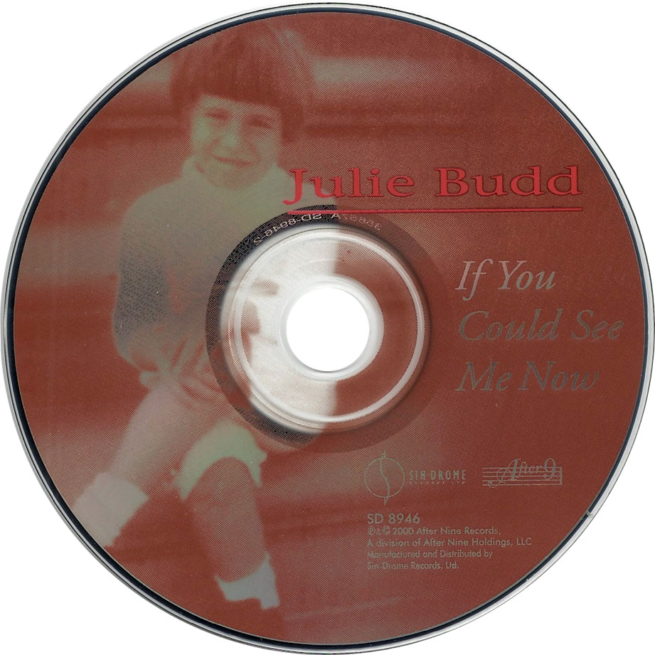 Cartula Cd de Julie Budd - If You Could See Me Now