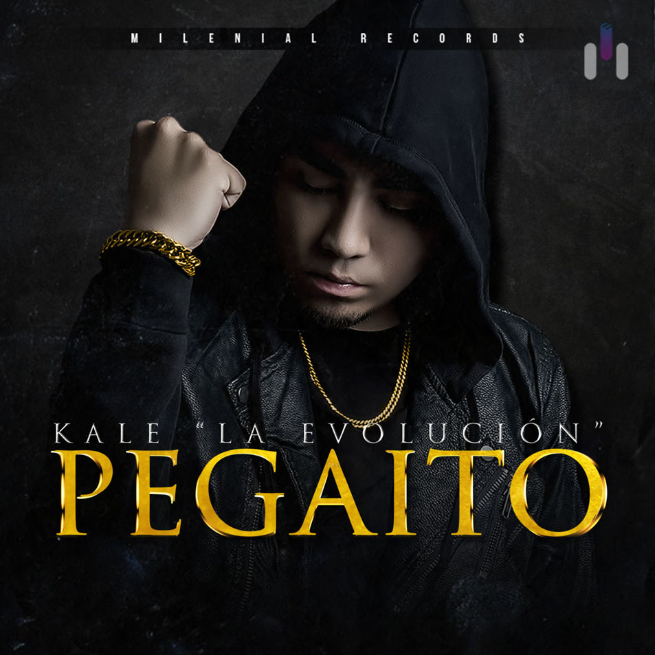 Cartula Frontal de Kale Mr. Party - Pegaito (Cd Single)