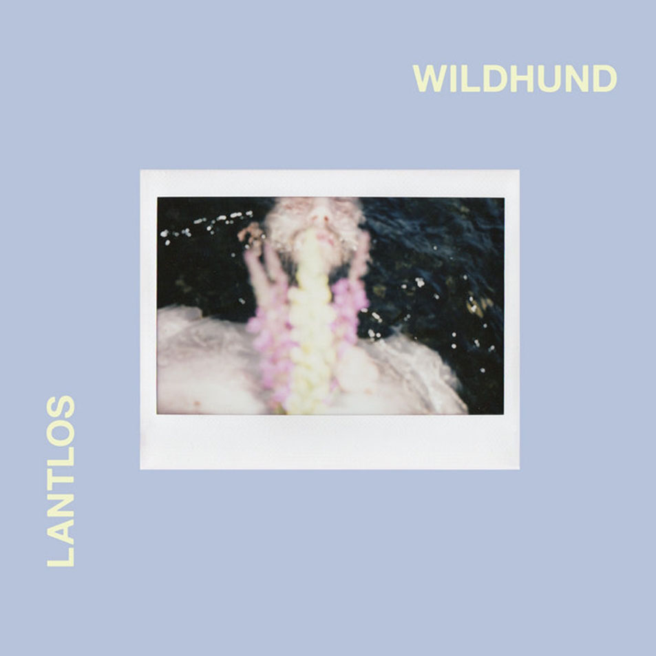 Cartula Frontal de Lantlos - Wildhunt
