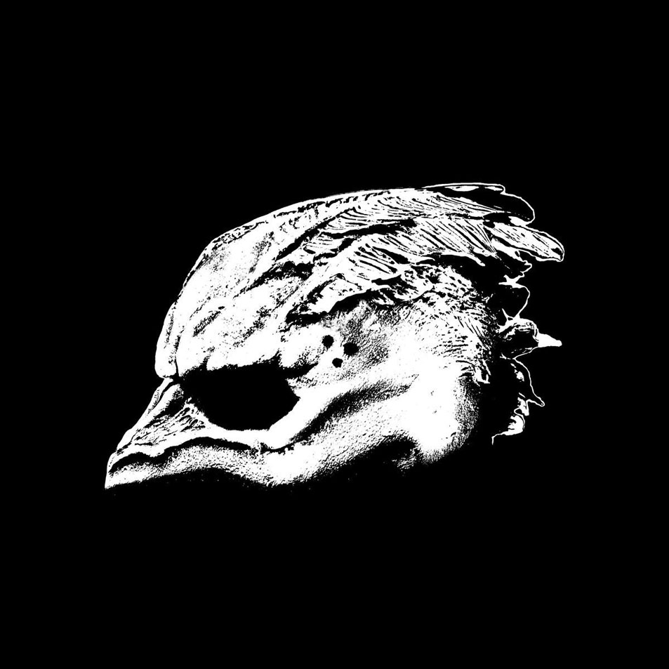Cartula Frontal de Legend Of The Seagullmen - Legend Of The Seagullmen