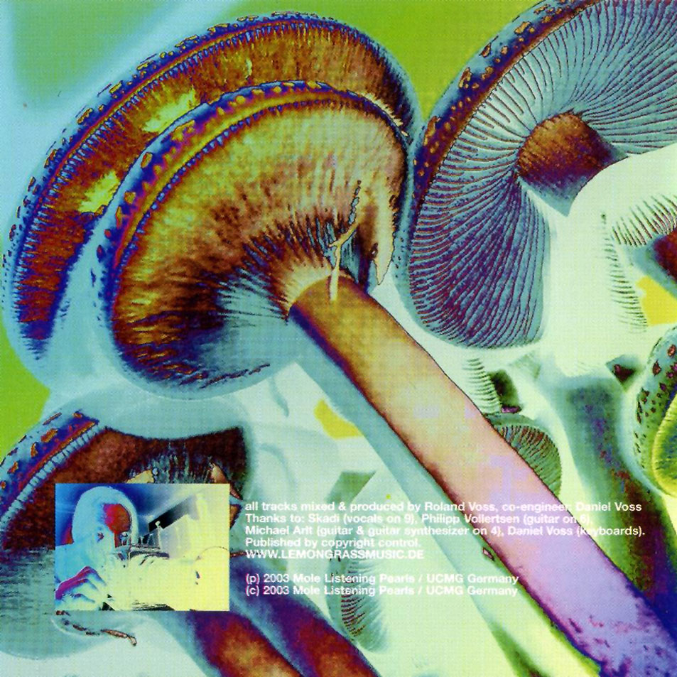Cartula Interior Frontal de Lemongrass - Skydiver