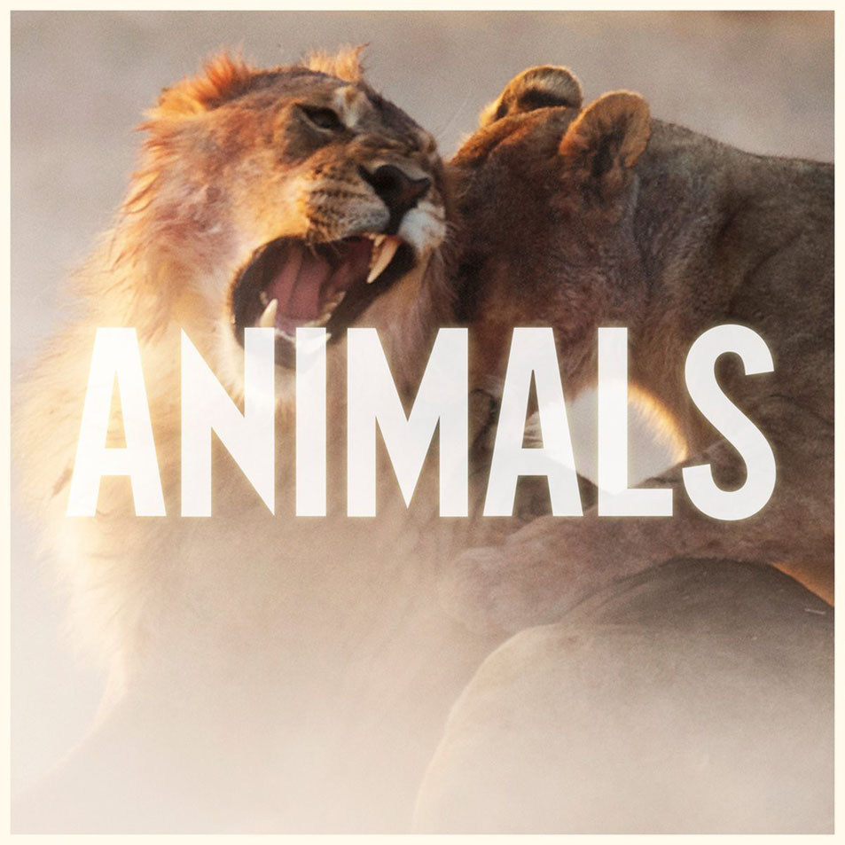 Carátula Frontal de Maroon 5 - Animals (Cd Single)