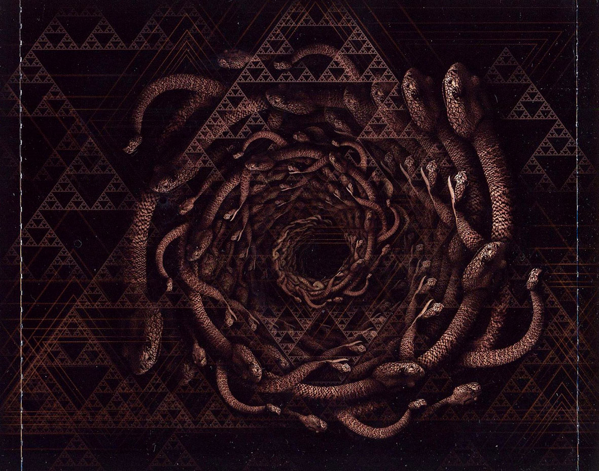 Cartula Interior Trasera de Meshuggah - Koloss
