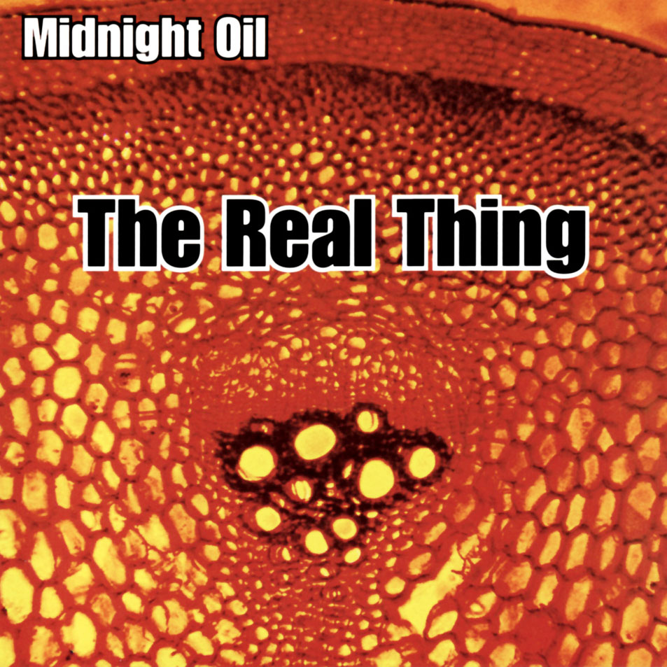 Cartula Frontal de Midnight Oil - The Real Thing