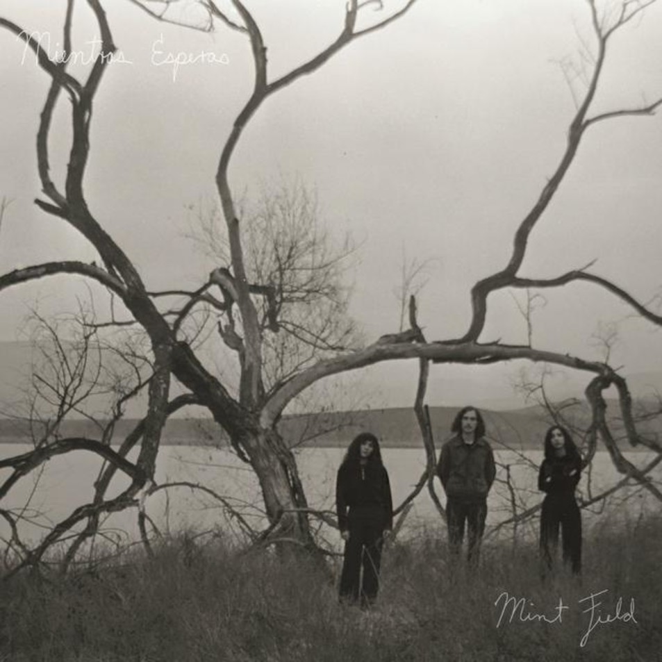Cartula Frontal de Mint Field - Jardin De La Paz (Cd Single)