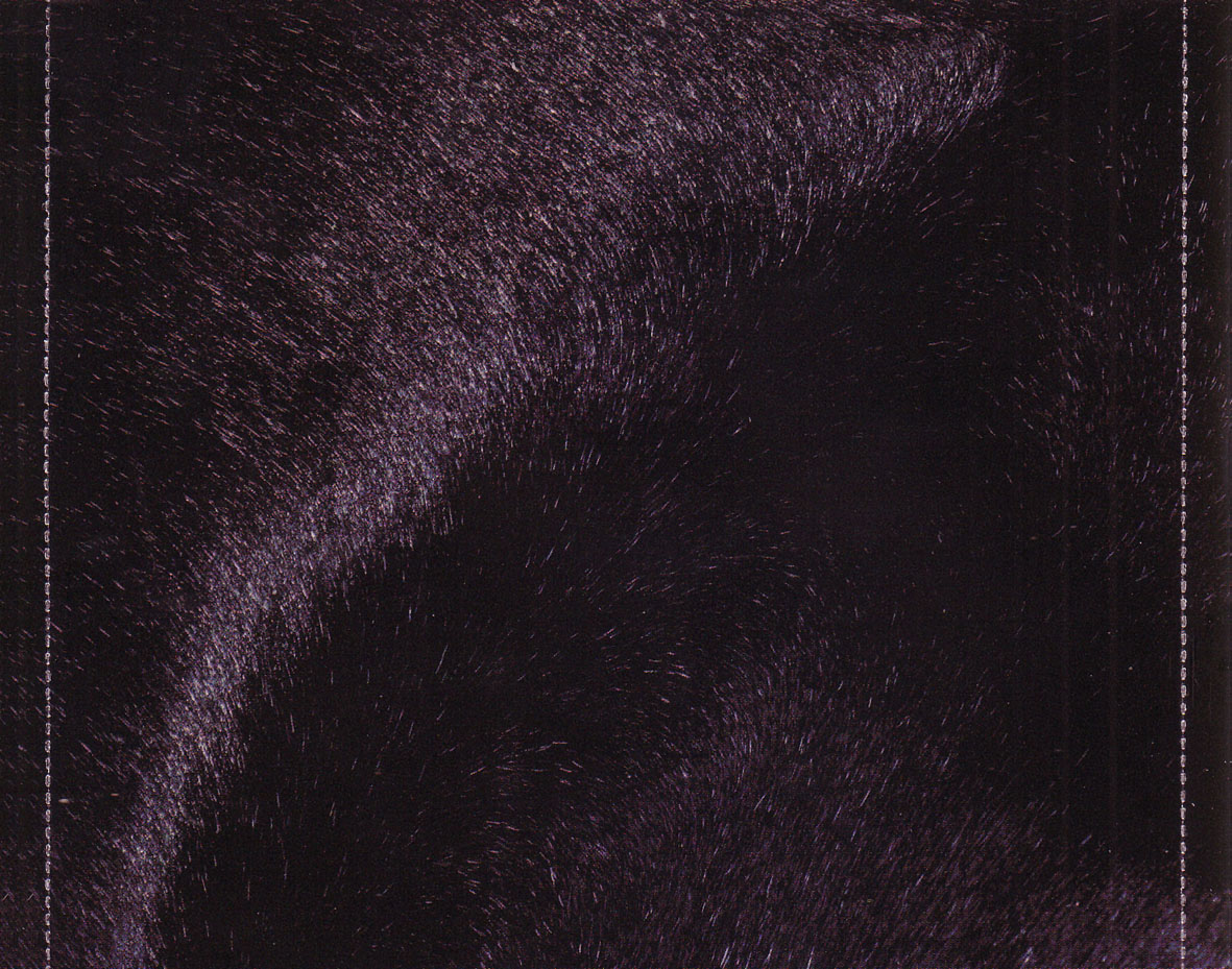 Cartula Interior Trasera de Nickelback - Dark Horse
