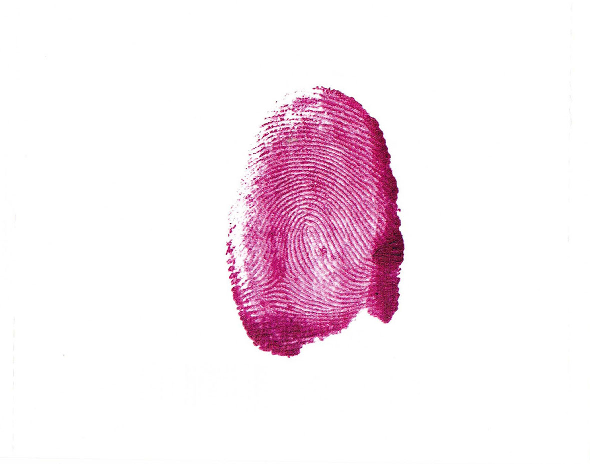 Cartula Interior Trasera de Nicki Minaj - The Pinkprint (Target Edition)