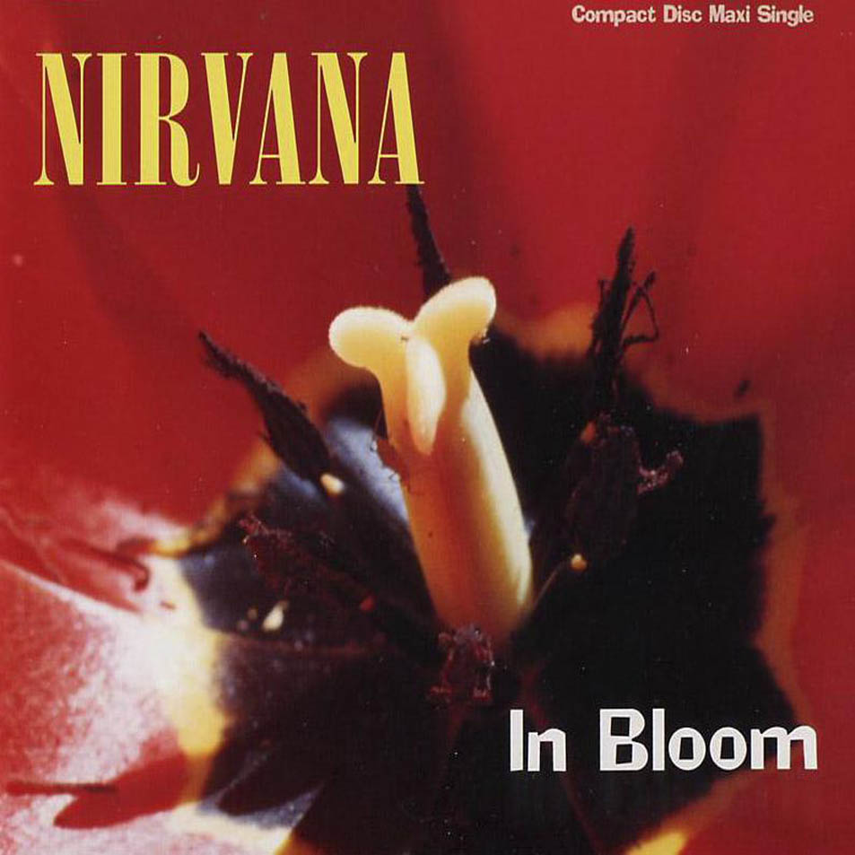 Cartula Frontal de Nirvana - In Bloom (Cd Single)