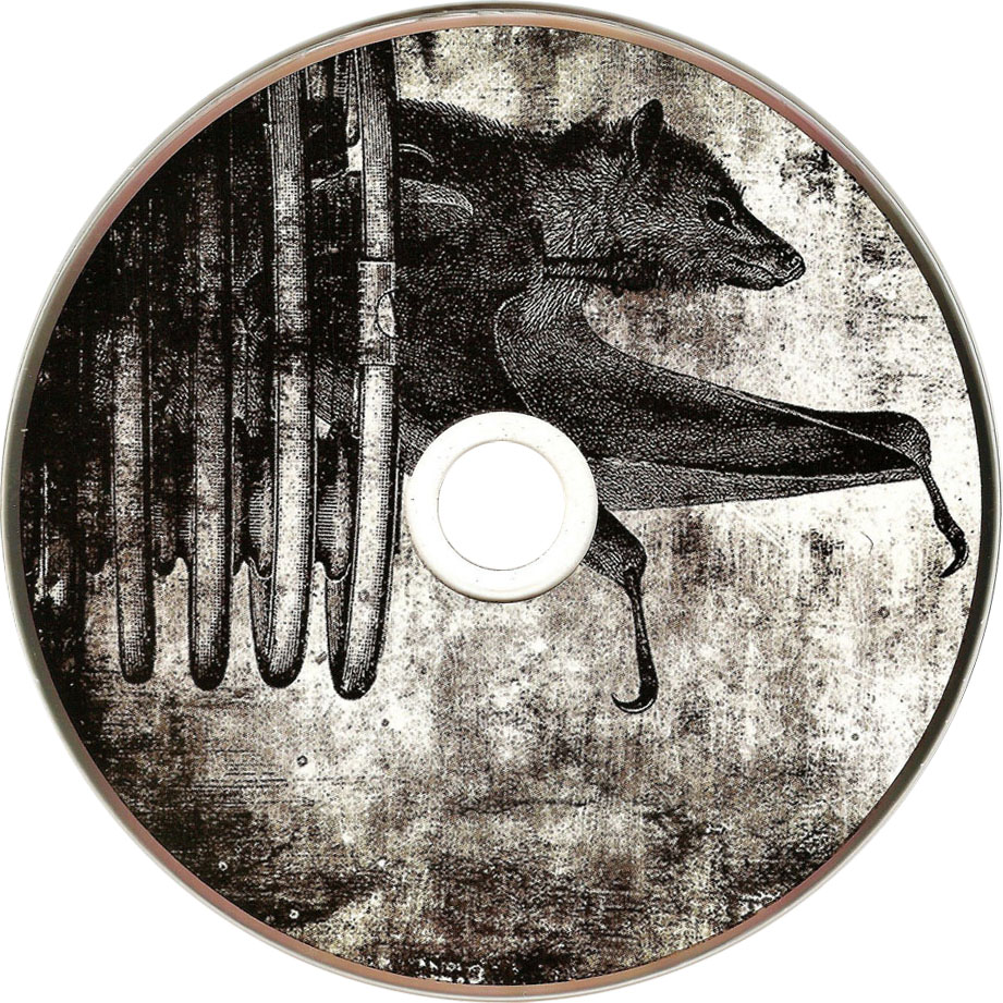 Cartula Cd de Noctem - Haeresis
