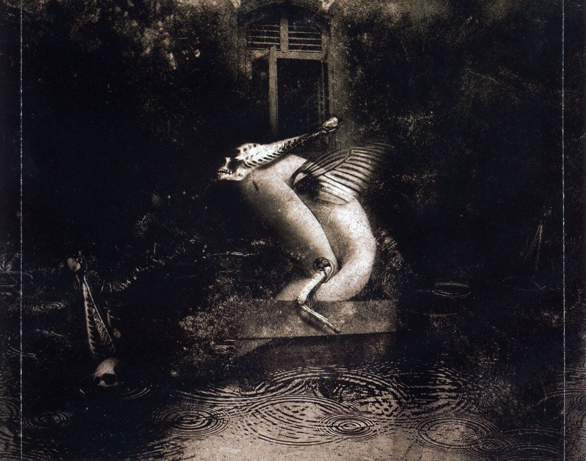 Cartula Interior Trasera de Old Man's Child - Vermin