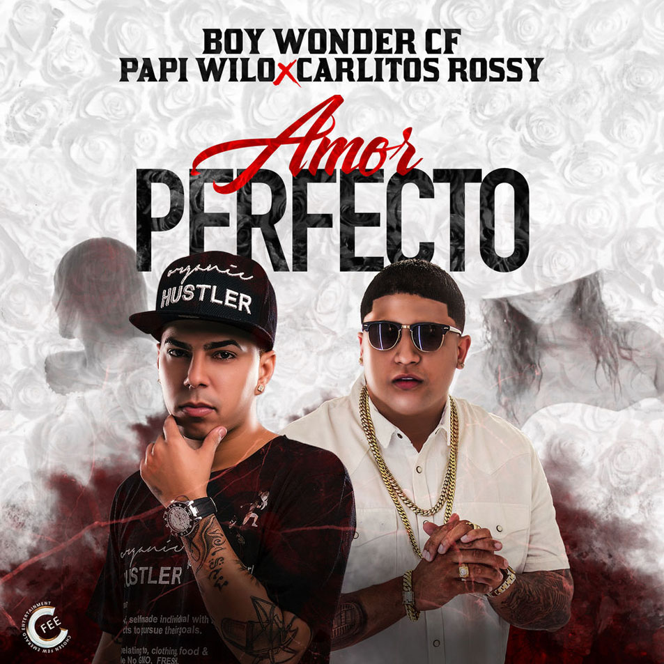 Cartula Frontal de Papi Wilo - Amor Perfecto (Featuring Carlitos Rossy) (Cd Single)